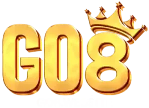 vngo8.net Logo